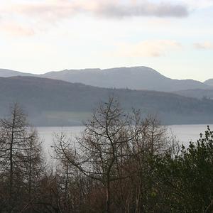 Responsive image