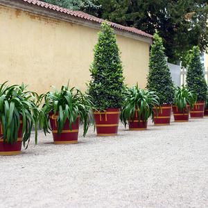 Responsive image