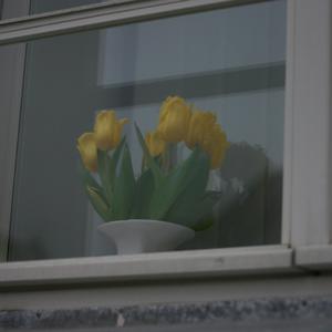 Responsive image