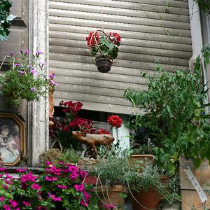 Responsive image