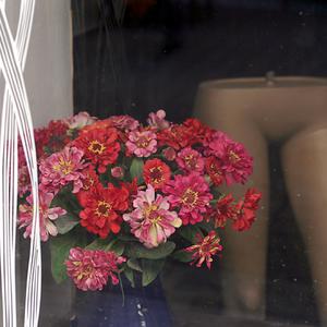 Responsive image