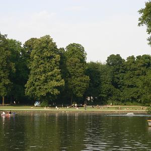 Responsive image
