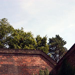 Responsive image