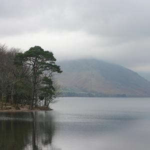 Responsive image