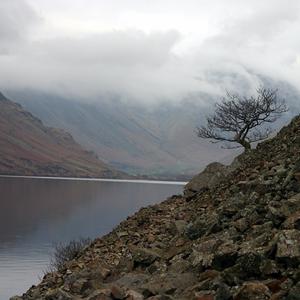Responsive image