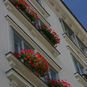 Responsive image