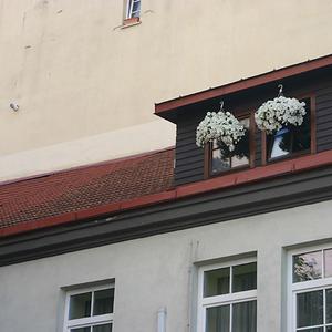 Responsive image