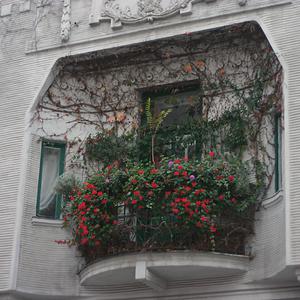 Responsive image