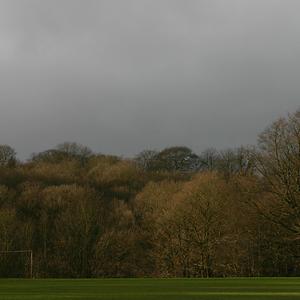 Responsive image