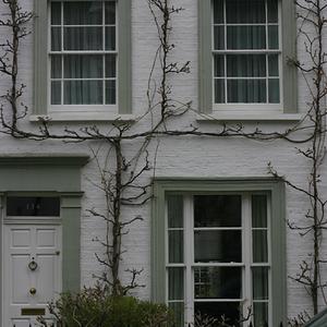 Responsive image