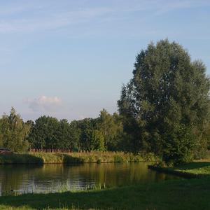 Responsive image