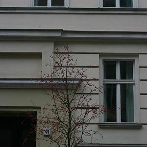 Responsive image