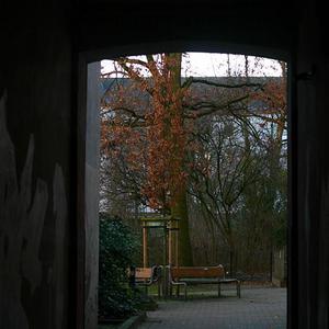 Responsive image