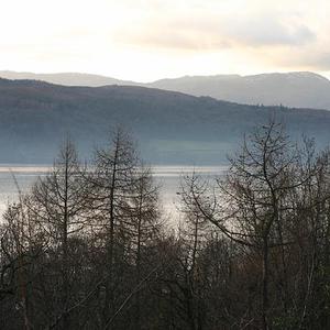 Responsive image