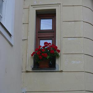 Responsive image