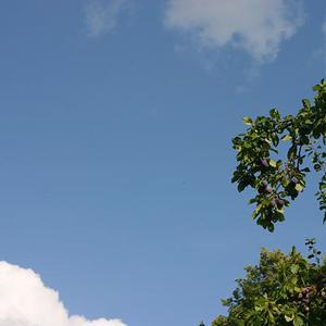 Responsive image